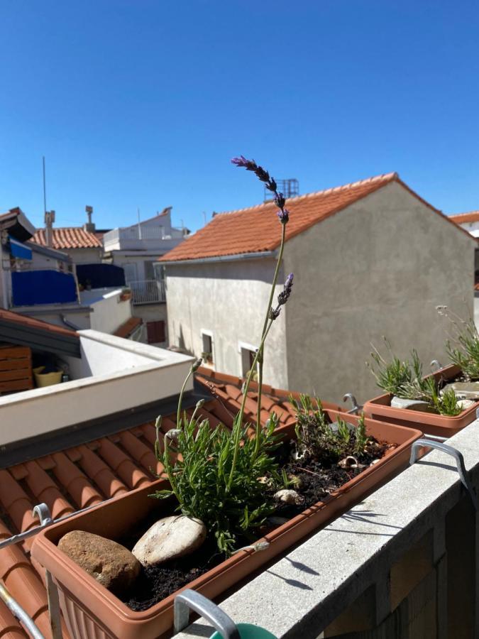 Lucy Apartment Piran-Punta מראה חיצוני תמונה